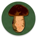 book of mushrooms android application logo